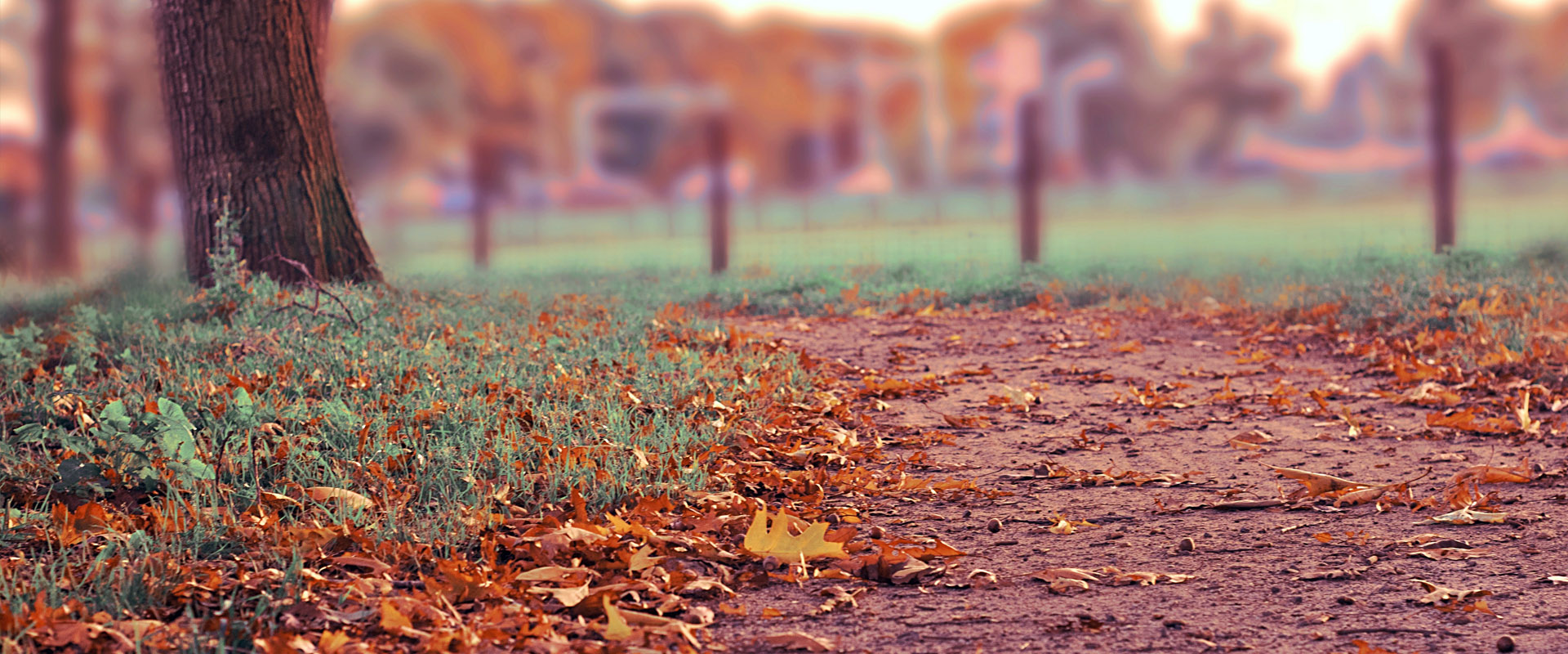 在线打电话免费网页版