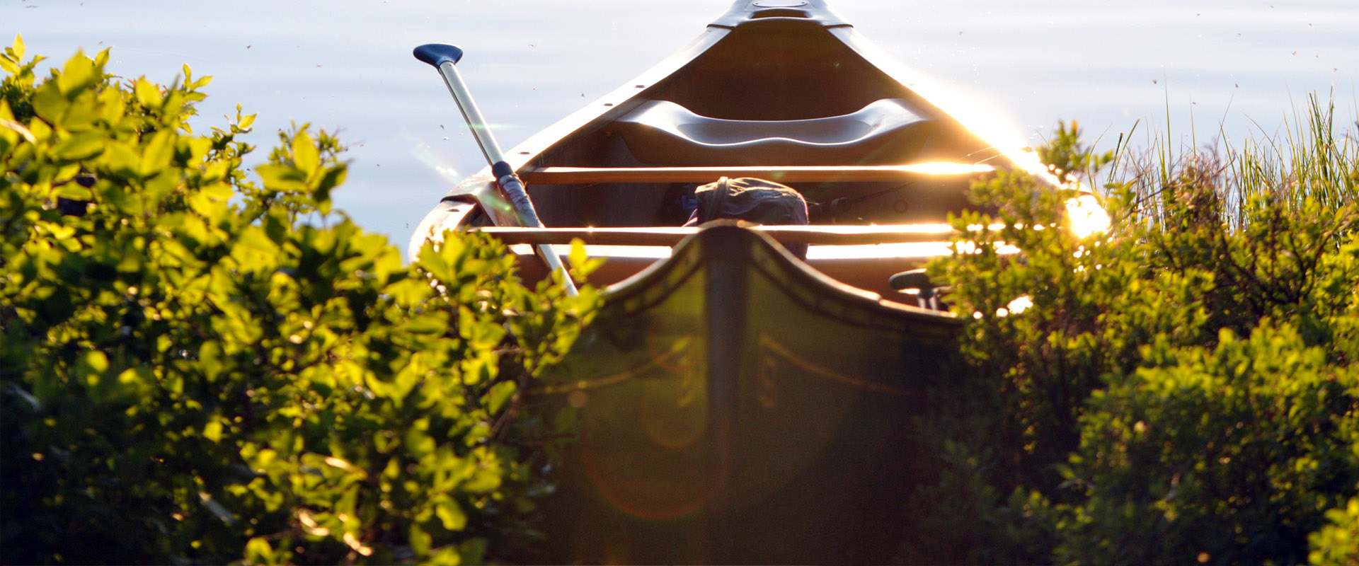 获取短信验证码平台