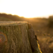 手机号轰炸免费软件