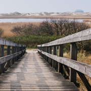 无人值守自动的轰炸手机短信软件