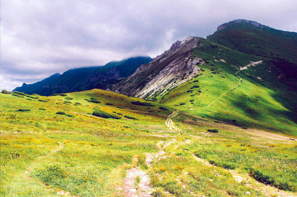 手机号轰炸免费软件