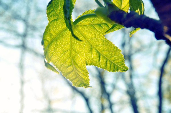24小时轰炸对方的电话软件